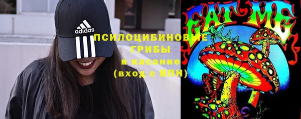 шишки Алексеевка
