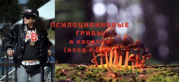 шишки Алексеевка